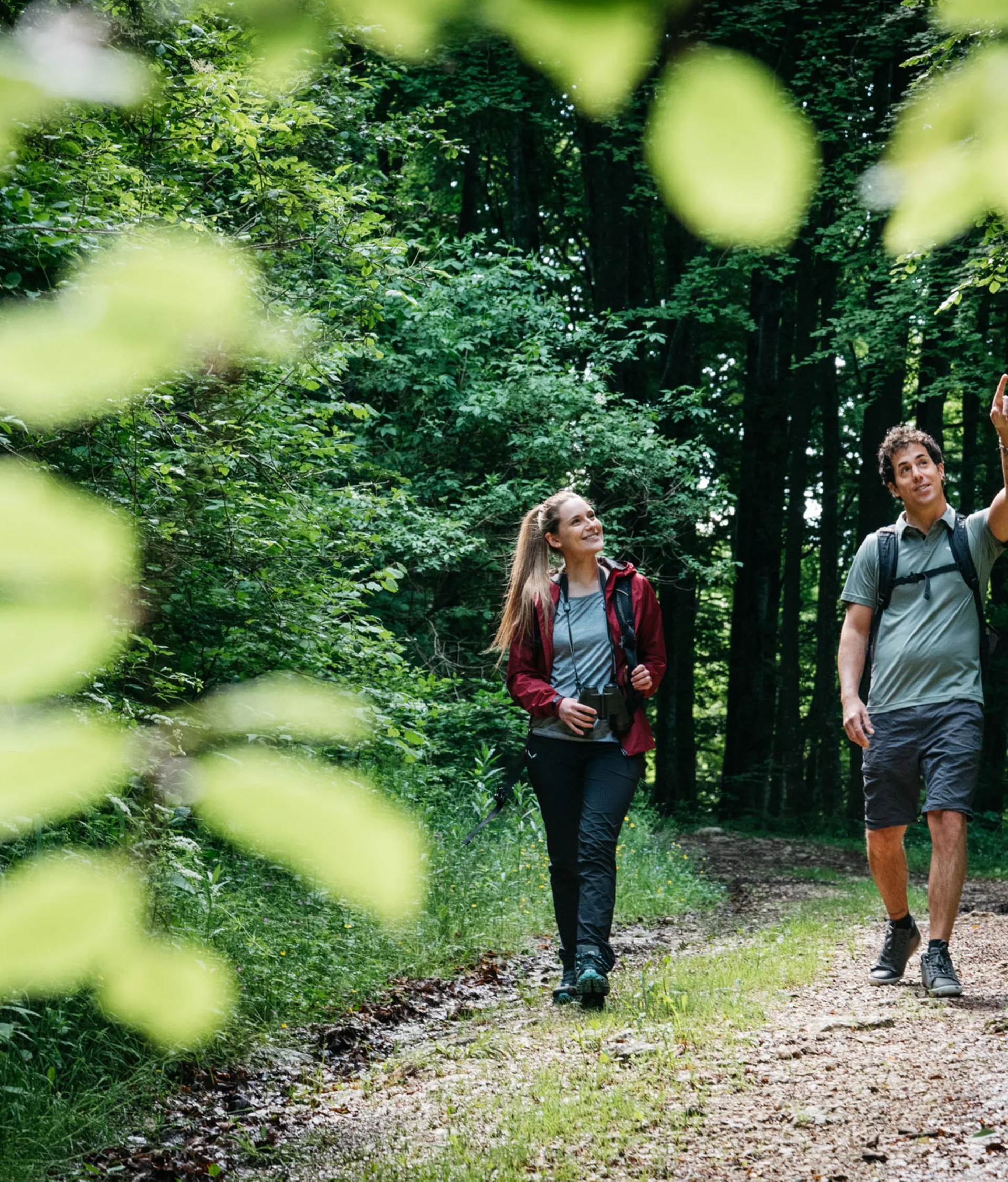 Tutto il divertimento di un hotel sul Monte Baldo Due persone che camminano e osservano la natura in un sentiero boschivo