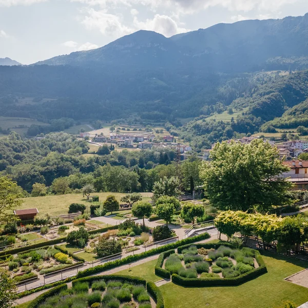 Le foto dell’Elgus Nature Retreat Vista panoramica di un giardino curato con montagne sullo sfondo