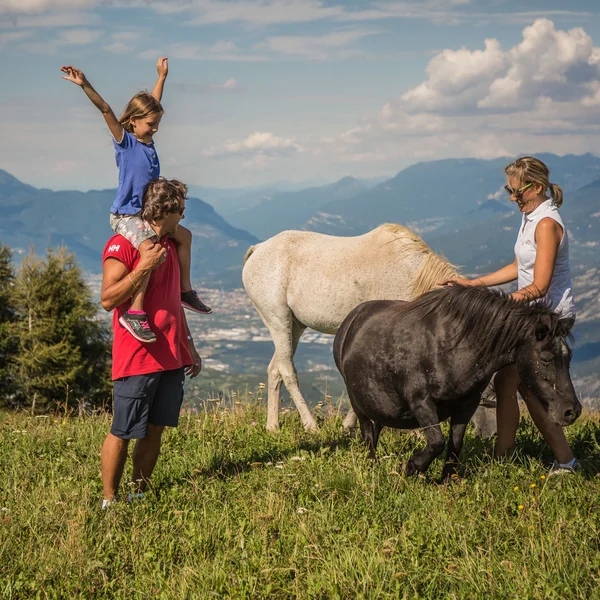 Le foto dell’Elgus Nature Retreat Famiglia con due cavalli su prato verde con montagne sullo sfondo
