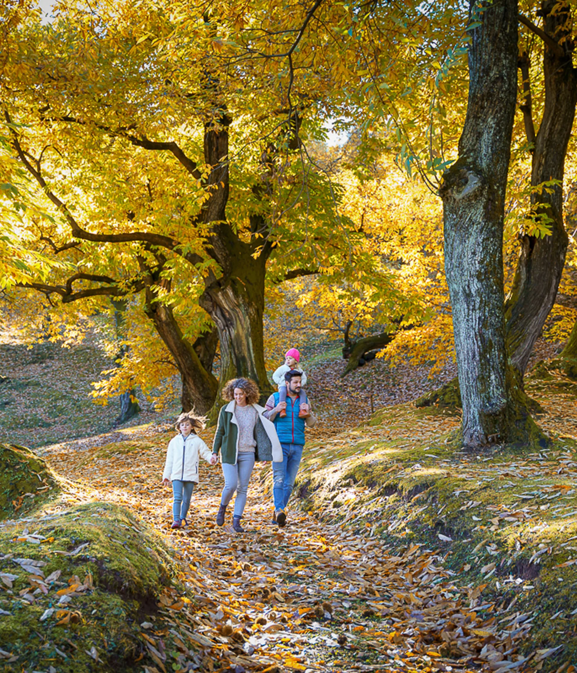 Elgus: family hotel a Brentonico Famiglia che cammina in un bosco con alberi dai colori autunnali