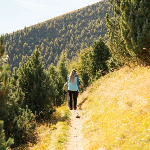 Le foto dell’Elgus Nature Retreat Due persone che camminano su un sentiero di montagna circondato da alberi verdi