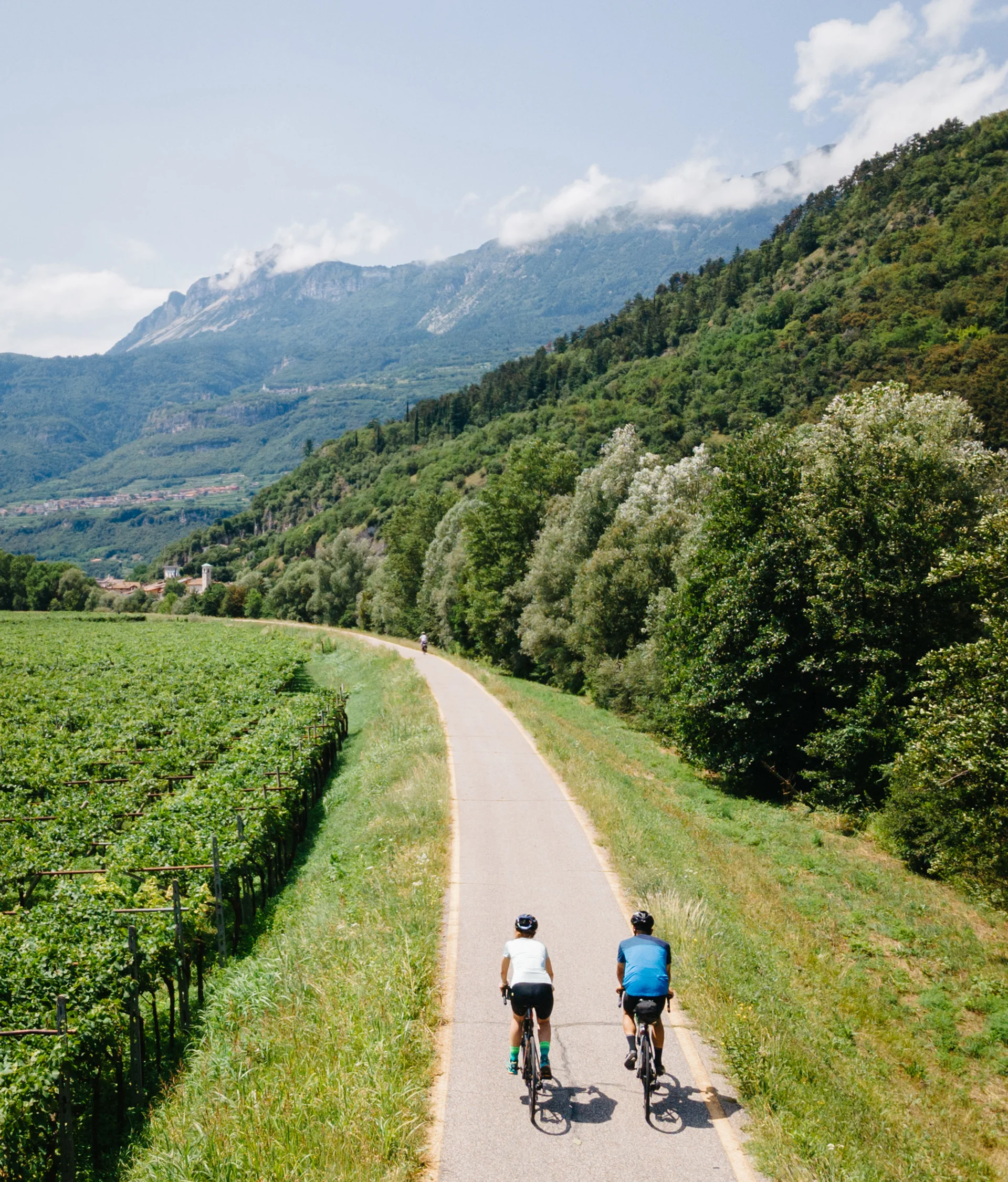 Tutto il divertimento di un hotel sul Monte Baldo Due ciclisti su una pista ciclabile tra vigneti e colline verdi
