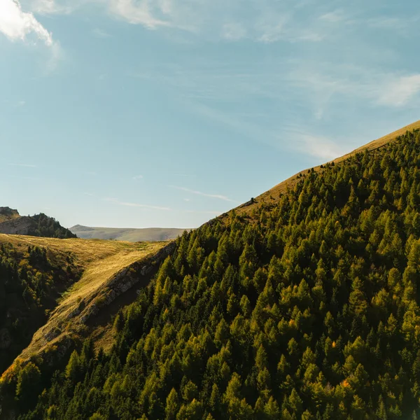 Le foto dell’Elgus Nature Retreat Collina coperta di alberi verdi sotto un cielo sereno con poche nuvole