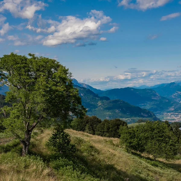 Le foto dell’Elgus Nature Retreat Paesaggio montano con alberi verdi e cielo azzurro con nuvole bianche