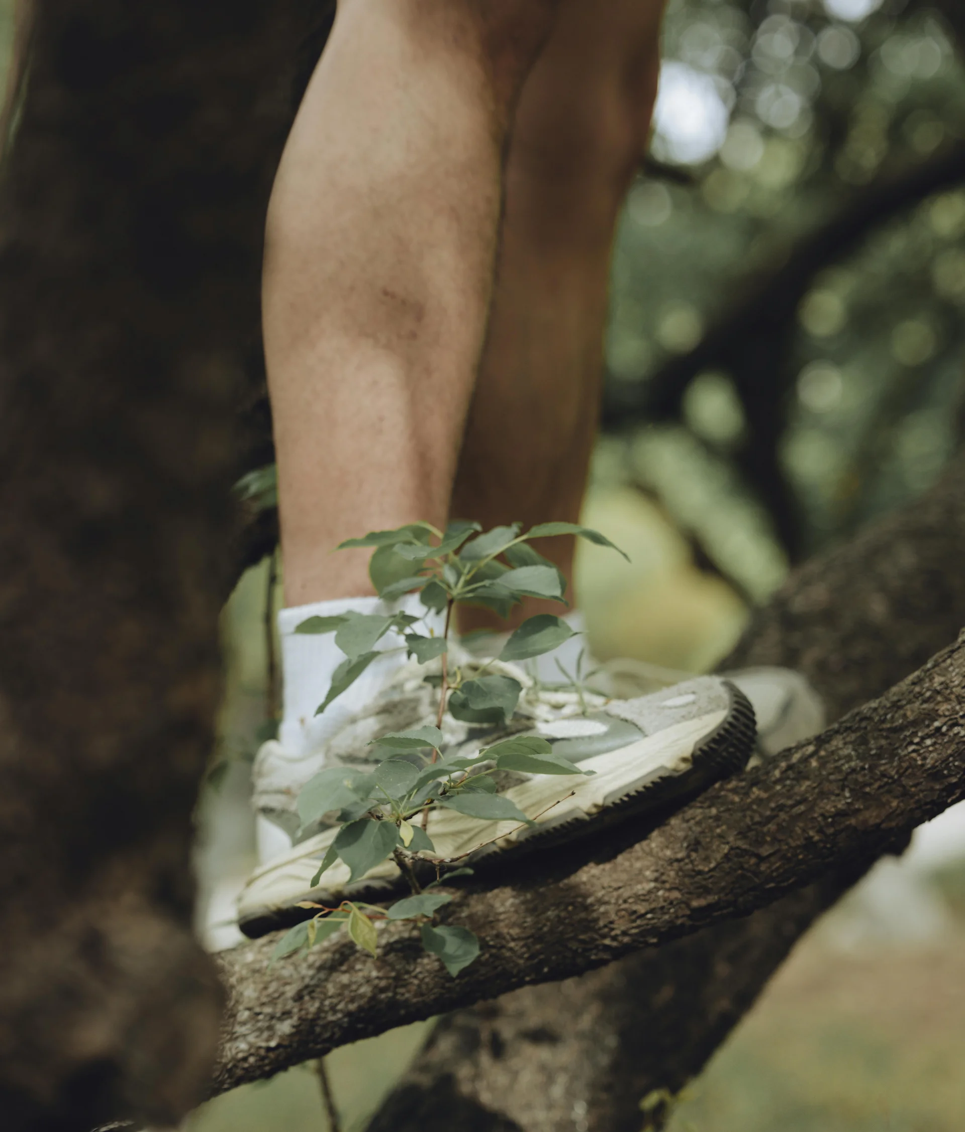Hotel per single in Trentino Gambe di una persona con scarpe da ginnastica bianche su un ramo d'albero