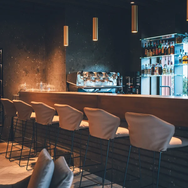 Le foto dell’Elgus Nature Retreat Bancone di bar moderno con sgabelli e luci soffuse