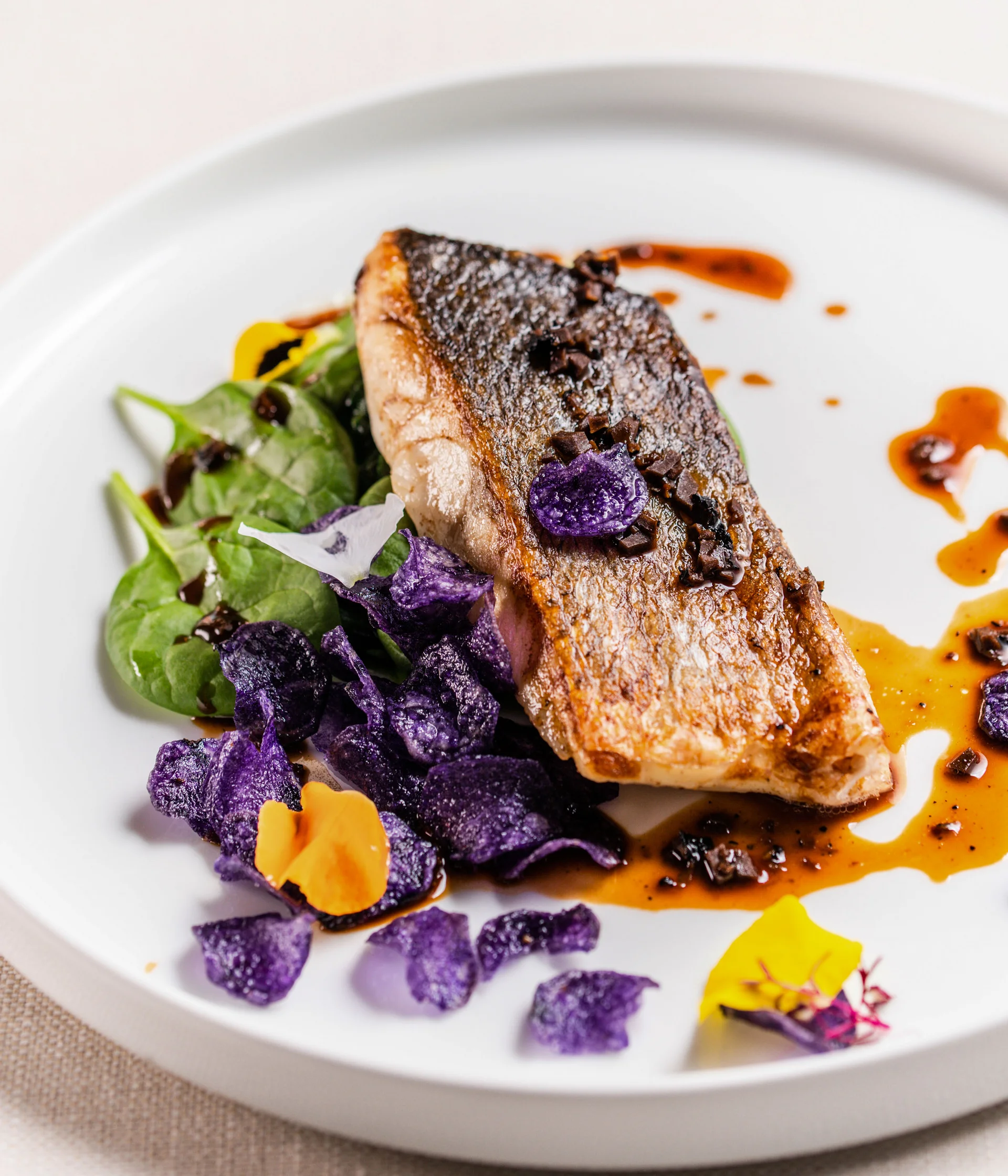 Il nostro ristorante a San Giacomo, Brentonico Filetto di pesce con patate viola, spinaci e salsa su piatto bianco