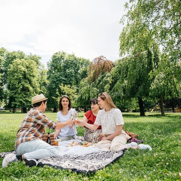 Le foto dell’Elgus Nature Retreat Quattro amici fanno un picnic brindando su una coperta in un parco verde