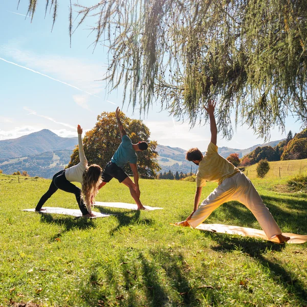 Le foto dell’Elgus Nature Retreat Tre persone fanno yoga all'aperto su un prato verde sotto un albero
