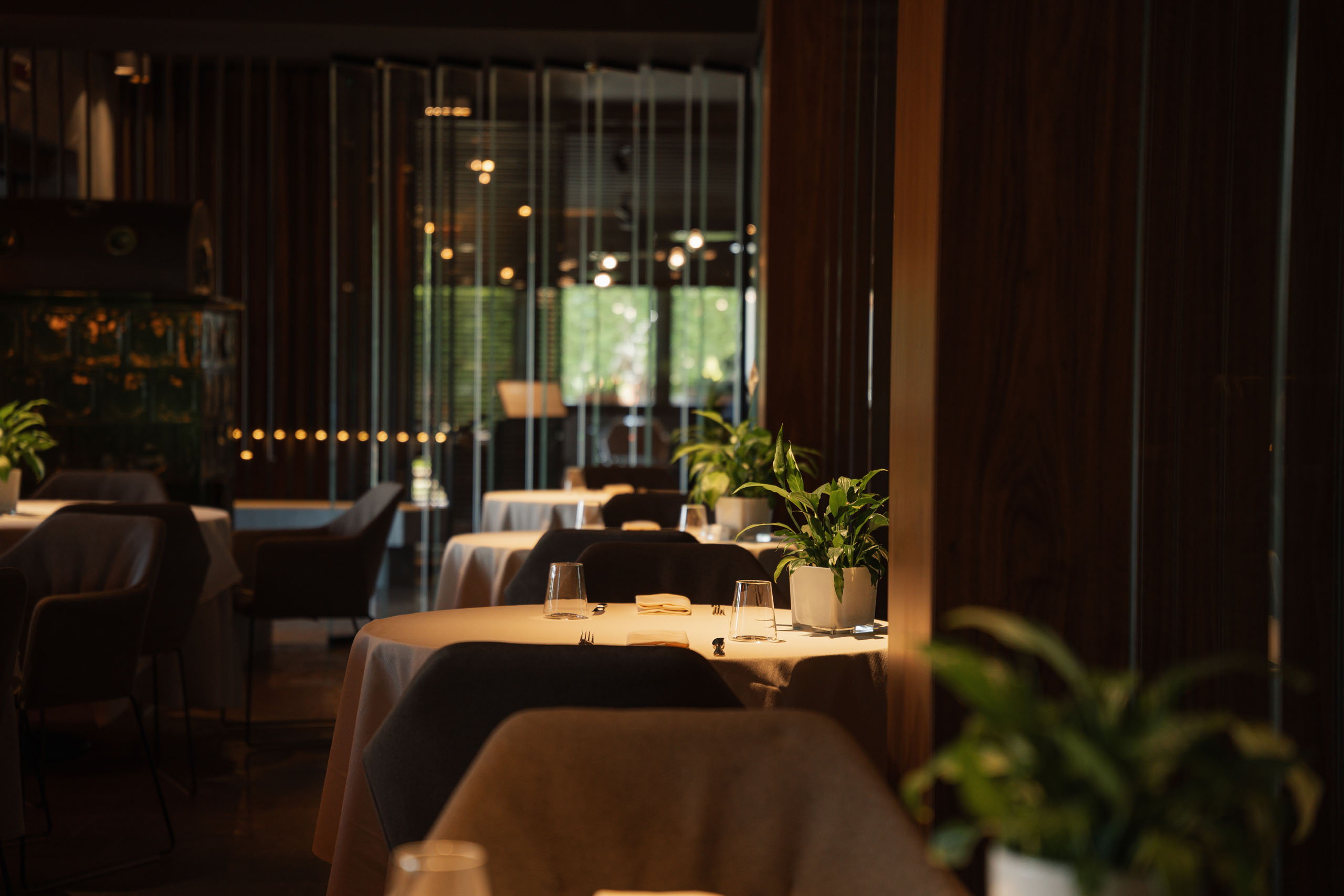 Le foto dell’Elgus Nature Retreat Interno di un ristorante elegante con tavoli apparecchiati e piante verdi