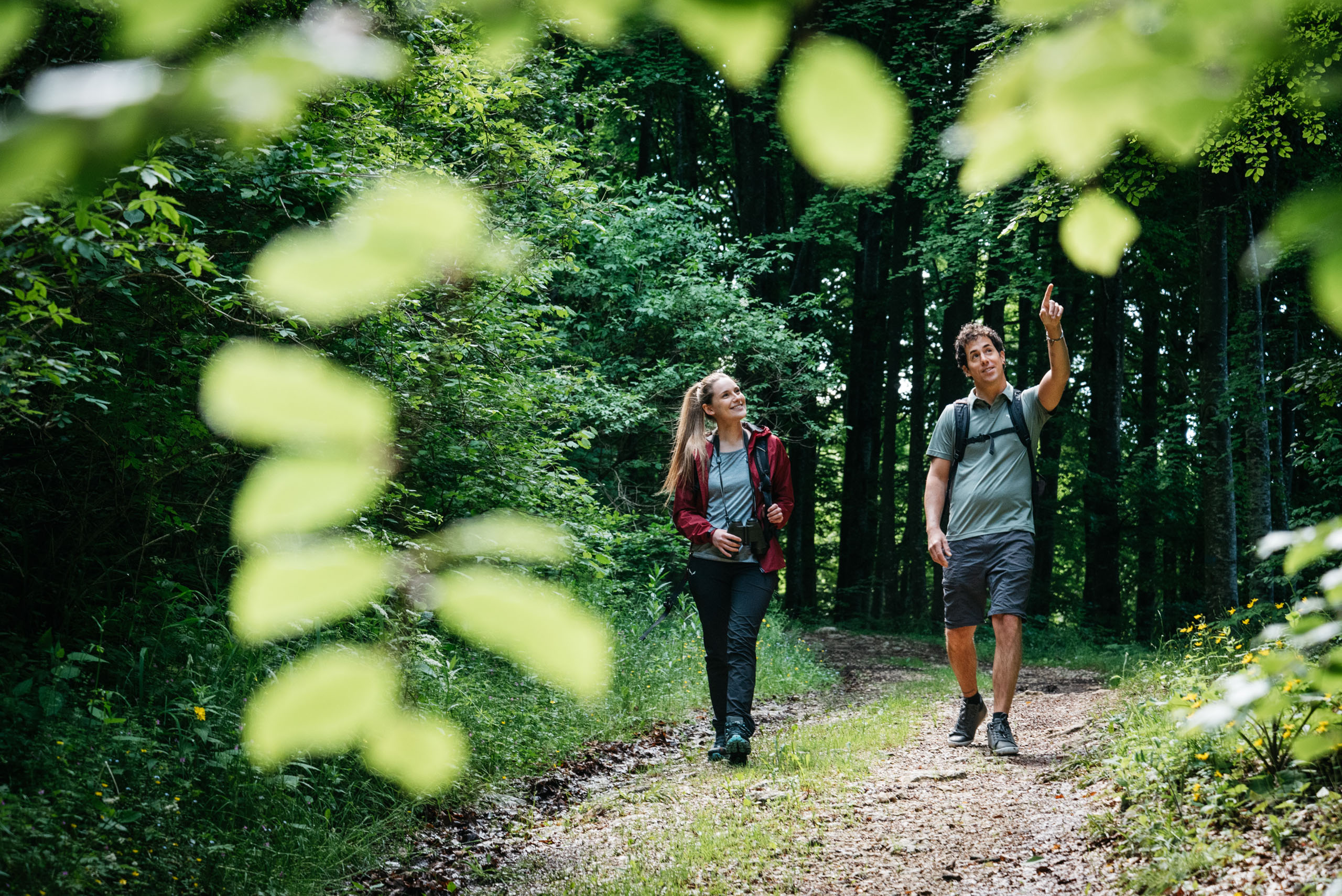 Le foto dell’Elgus Nature Retreat Due persone che camminano e osservano la natura in un sentiero boschivo